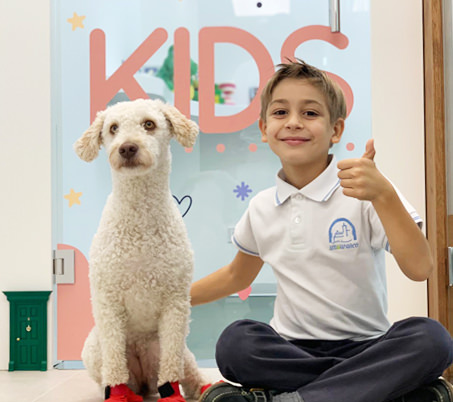 Terapydogs en Clinica dental en Oviedo , Asturias - Centro Odontológico Miguel González 2