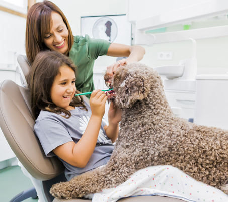 Niña cepillando los dientes de un perro de terapia durante una sesión de Terapydogs en el Centro Odontológico Miguel González, Oviedo