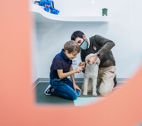theraphy-dogs1